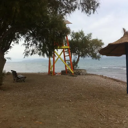 George & Artemis Seaside 아파트 Agios Thomas (Boeotia)